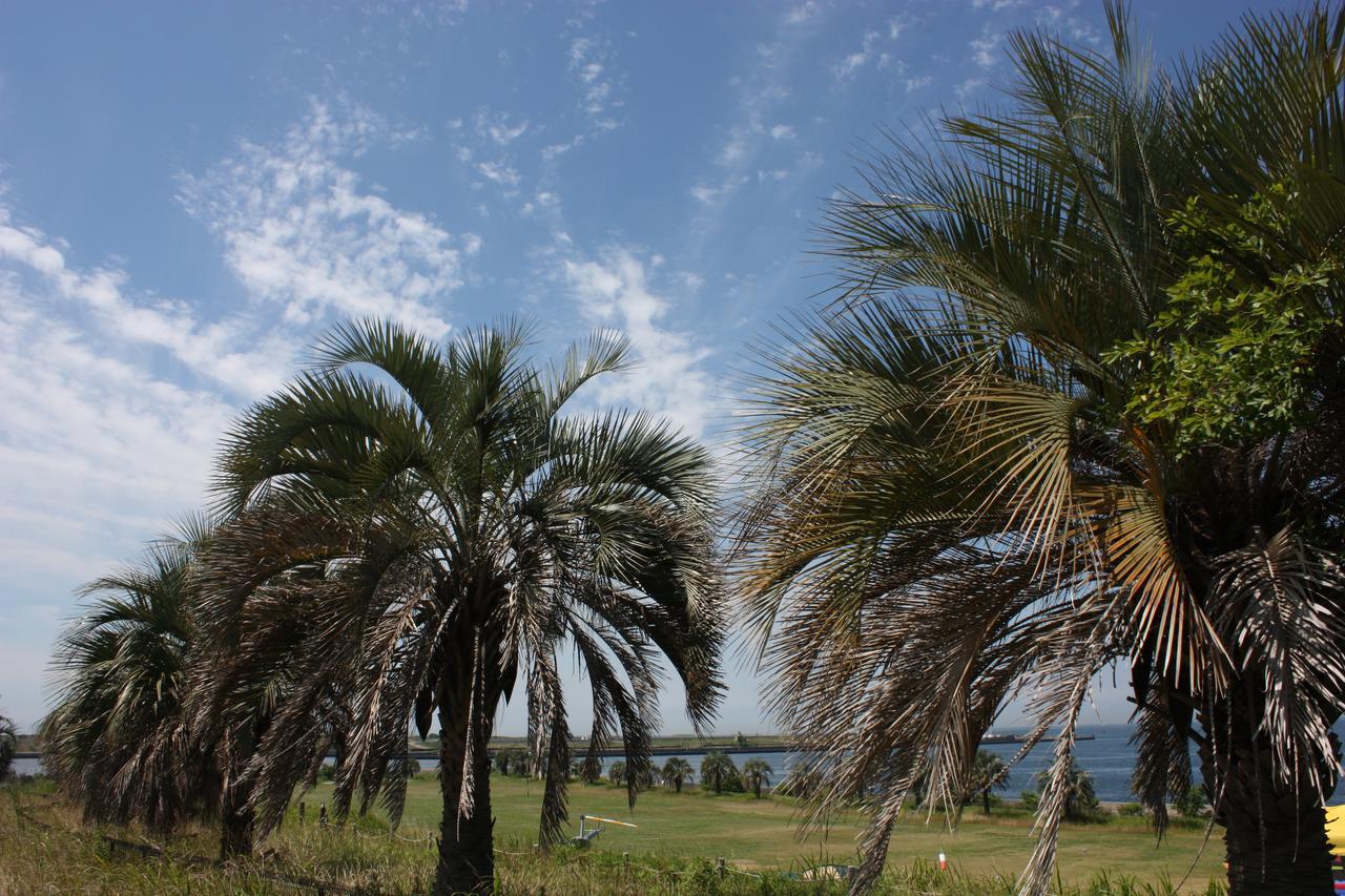 Palm Garden Maishima By Wbf Осака Екстериор снимка